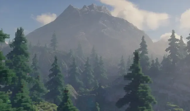 forest